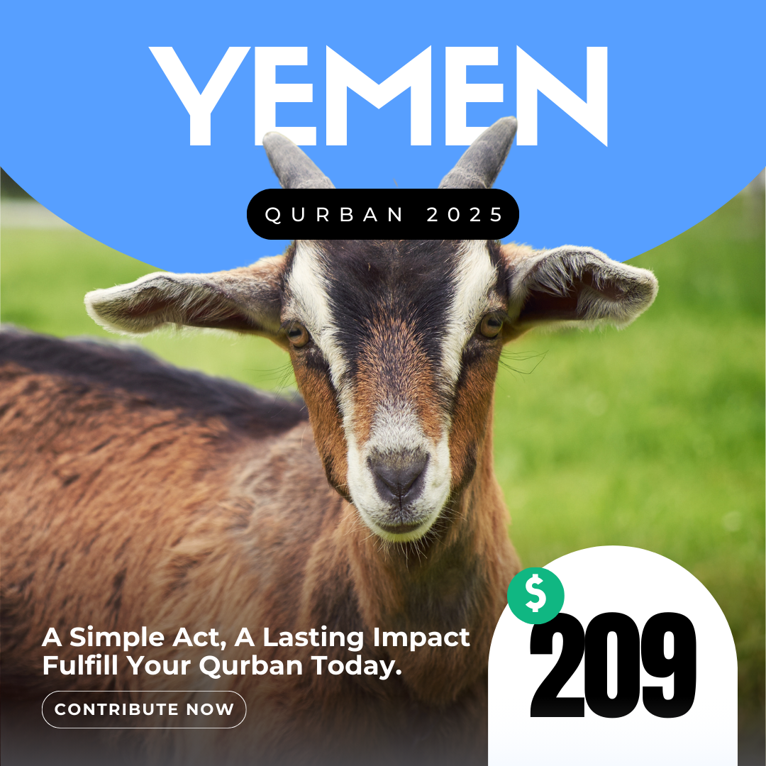 Goat (Yemen)